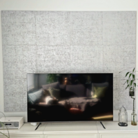 TV sein
